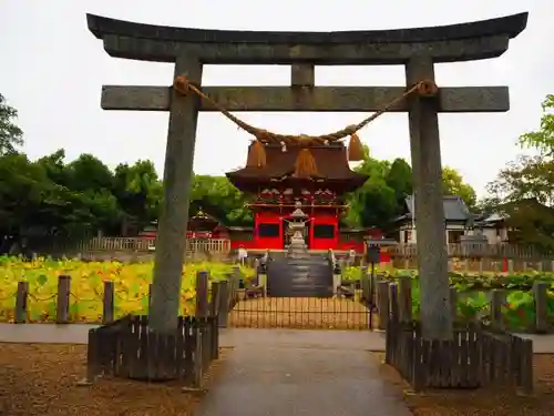 伊賀八幡宮の鳥居