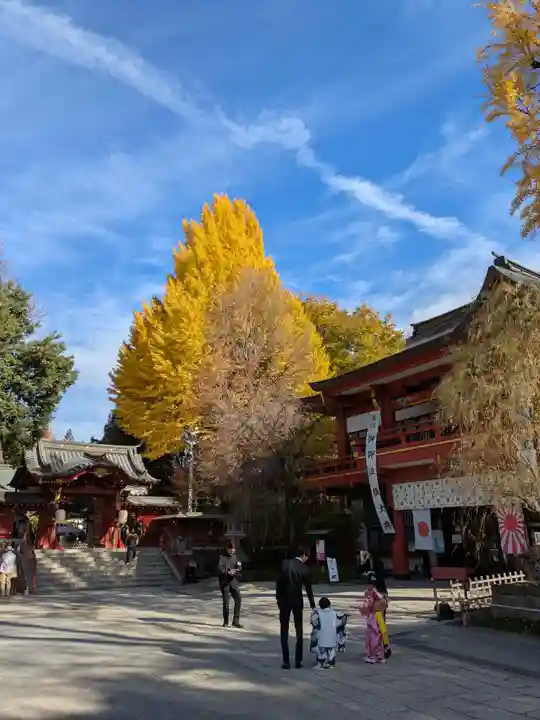 秩父神社(埼玉県)
