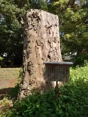 浅間神社(静岡県)
