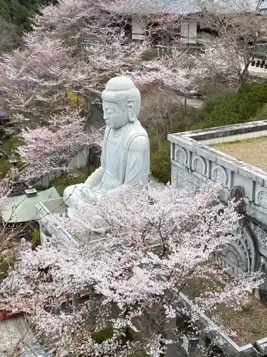 南法華寺（壷阪寺）の仏像