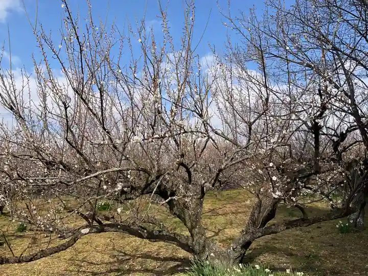 瑞雲寺(神奈川県)