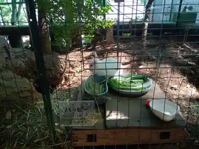太子堂八幡神社(東京都)