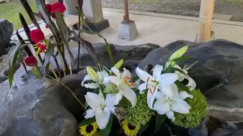 上川神社の手水舎