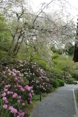 三千院門跡(京都府)