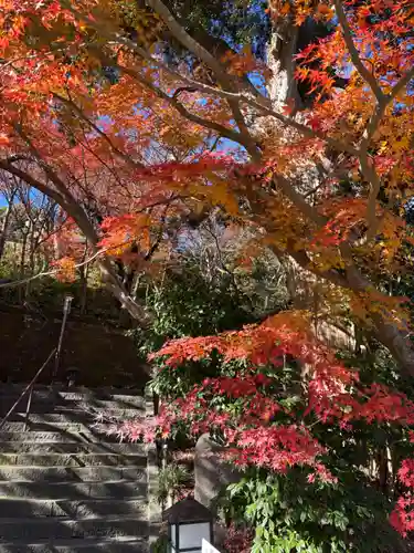 長谷寺(神奈川県)