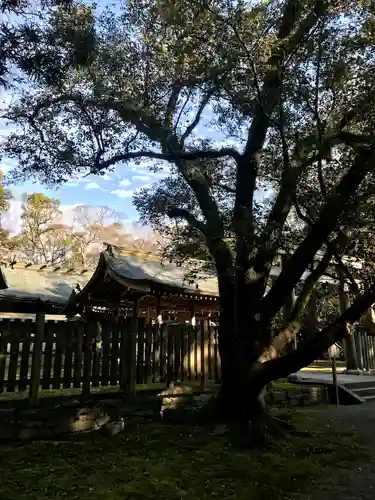 日前神宮・國懸神宮(和歌山県)