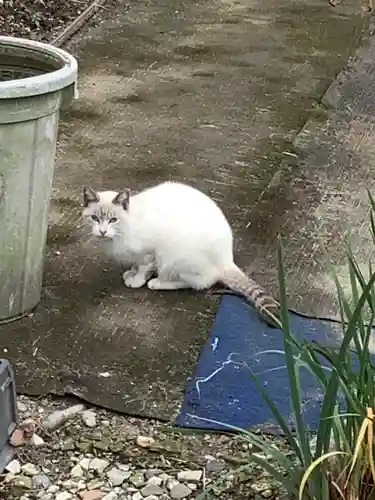 秋葉神社　地蔵堂の動物