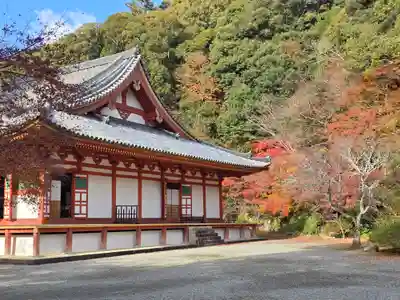 観心寺(大阪府)