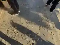 勝山寺(愛知県)