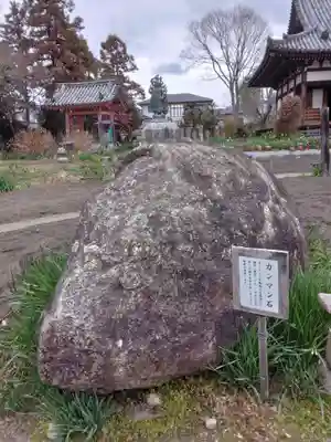 般若寺 ❁﻿コスモス寺❁(奈良県)