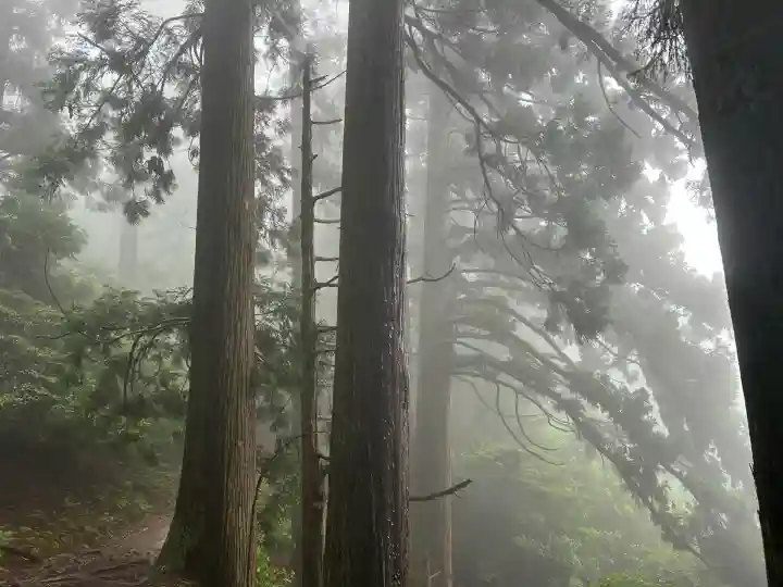 愛宕神社(京都府)