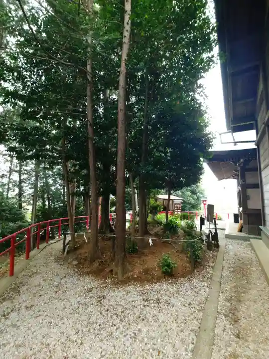 勝呂神社(埼玉県)