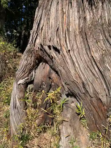 社八幡神社(福島県)