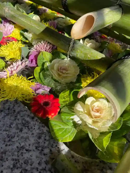 東郷神社(東京都)