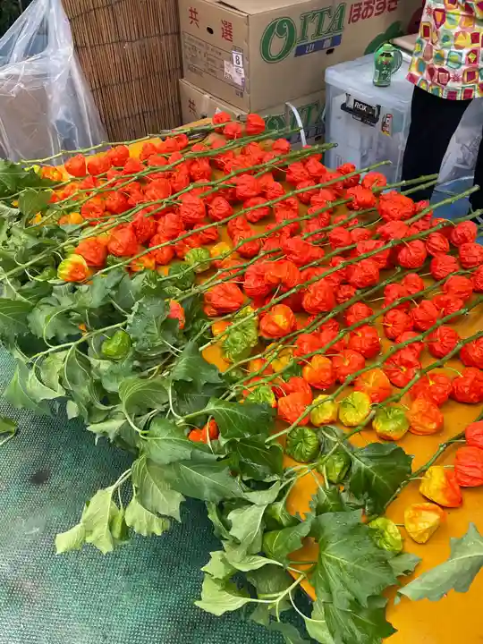 浅草寺(東京都)