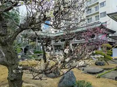 湯島天満宮(東京都)