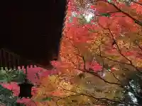 五流尊瀧院(岡山県)