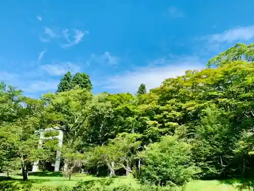 土津神社｜こどもと出世の神さまの景色