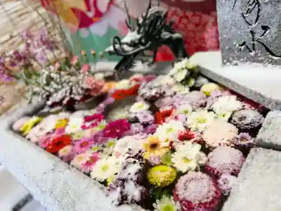 札幌諏訪神社の手水舎