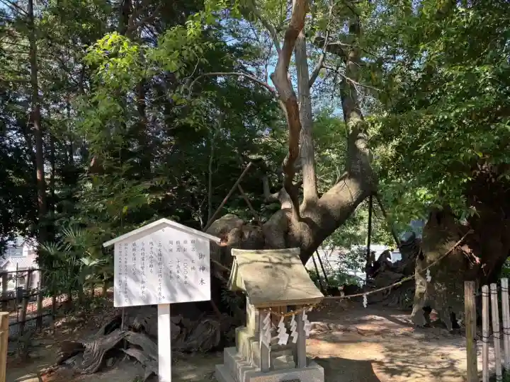 草薙神社の{uncategorized: "未分類", other: "その他", undefined: "問題あり", building: "その他建物", grave: "お墓", sacred_gate: "鳥居", guardian: "狛犬", statue: "像", buddha: "仏像", history: "歴史", nature: "自然", garden: "庭園", animal: "動物", pagoda: "塔", temizu: "手水舎", mountain_gate: "山門・神門", sanctuary: "本殿・本堂", subordinate: "末社・摂社", art: "芸術", scenery: "景色", jizo: "地蔵", ema: "絵馬", goshuin: "御朱印", omikuji: "おみくじ", items: "授与品その他", amulet: "お守り", goshuincho: "御朱印帳", eats: "食事", festival: "お祭り", votive_dance: "神楽", shichigosan: "七五三参", wedding: "結婚式", experience: "体験その他", initially: "初詣", around: "周辺", anti_infection: "感染症対策"}