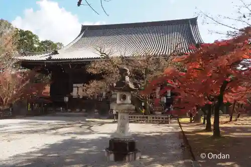 真正極楽寺（真如堂）の本殿・本堂