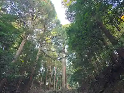元伊勢内宮 皇大神社(京都府)