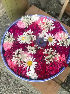 竹神社の手水舎