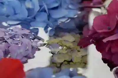 真野寺(千葉県)