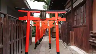 堀越神社の鳥居