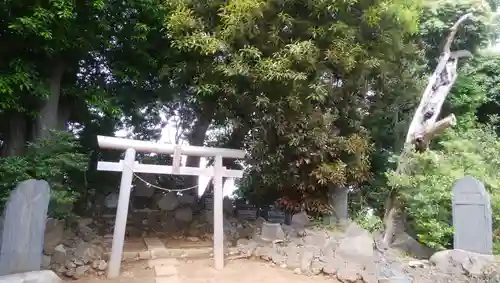 金山神社の鳥居