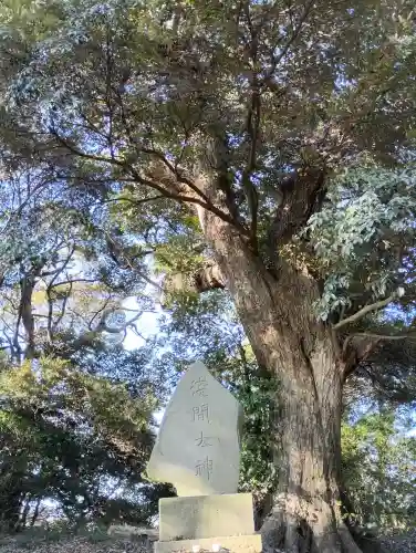 浅間神社(茨城県)