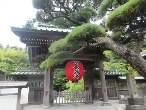 長谷寺(神奈川県)