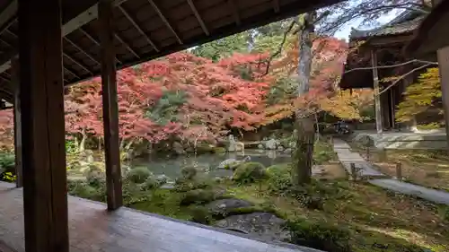 蓮華寺（洛北蓮華寺）(京都府)