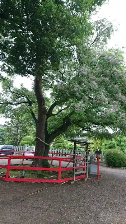 箭弓稲荷神社の庭園