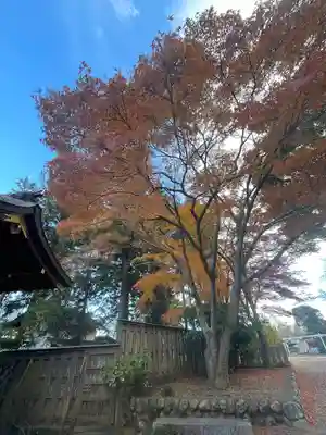 高麗神社(埼玉県)