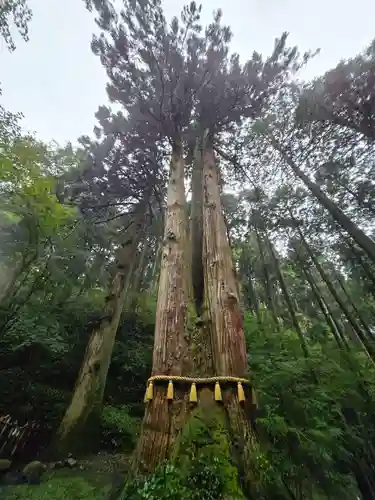 御岩神社(茨城県)
