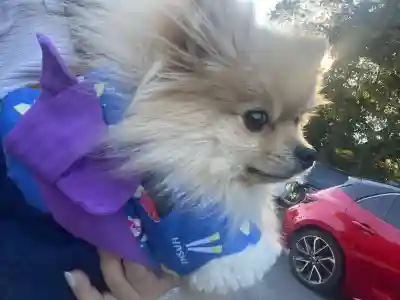 津島神社(愛知県)