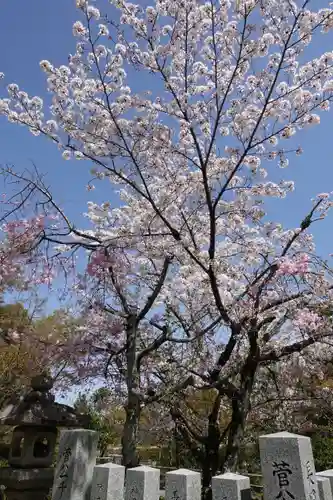 長岡天満宮のその他建物