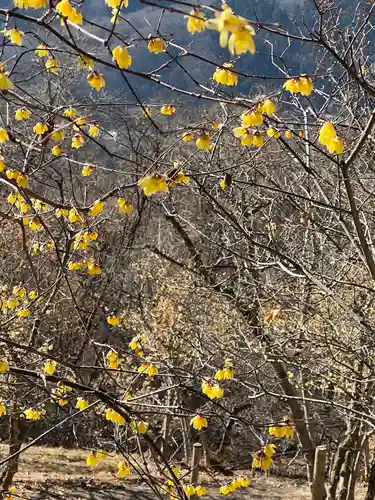 宝登山神社奥宮(埼玉県)