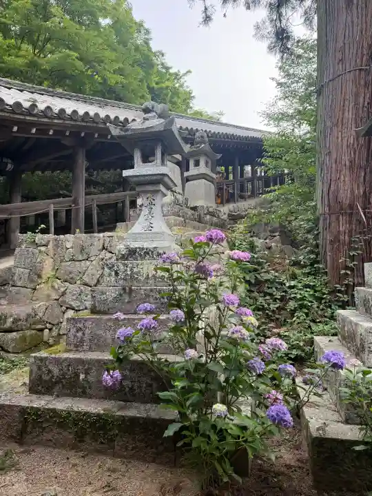 長谷寺(奈良県)