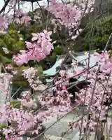 根岸八幡神社(神奈川県)