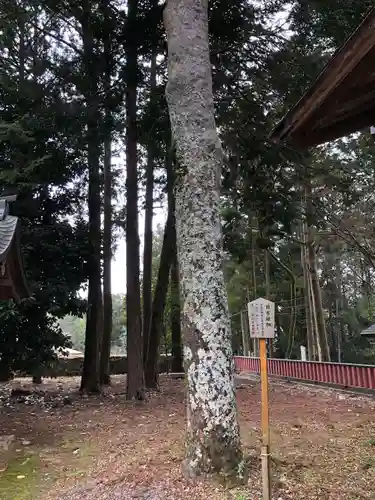 日吉大社(滋賀県)