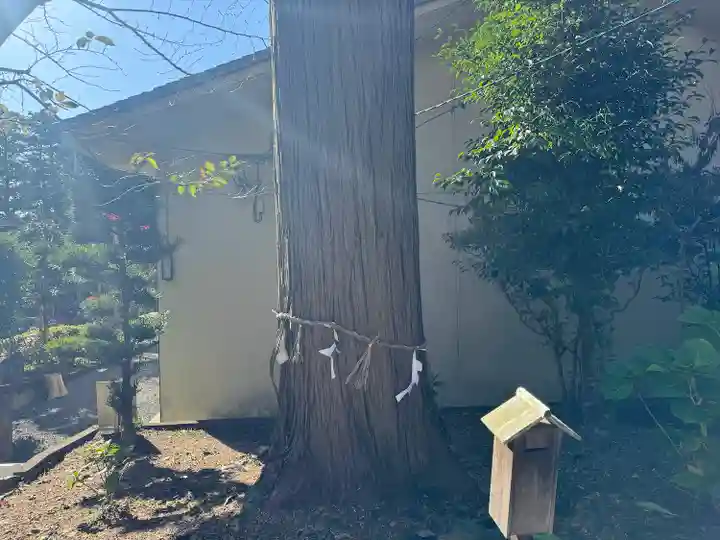 伊奈冨神社(三重県)