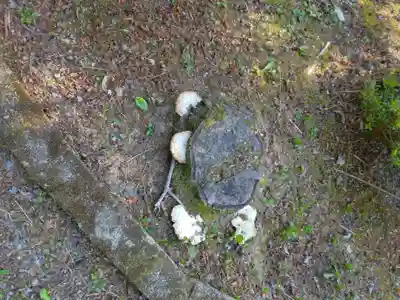 大善寺(兵庫県)