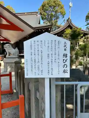 荒井神社の{uncategorized: "未分類", other: "その他", undefined: "問題あり", building: "その他建物", grave: "お墓", sacred_gate: "鳥居", guardian: "狛犬", statue: "像", buddha: "仏像", history: "歴史", nature: "自然", garden: "庭園", animal: "動物", pagoda: "塔", temizu: "手水舎", mountain_gate: "山門・神門", sanctuary: "本殿・本堂", subordinate: "末社・摂社", art: "芸術", scenery: "景色", jizo: "地蔵", ema: "絵馬", goshuin: "御朱印", omikuji: "おみくじ", items: "授与品その他", amulet: "お守り", goshuincho: "御朱印帳", eats: "食事", festival: "お祭り", votive_dance: "神楽", shichigosan: "七五三参", wedding: "結婚式", experience: "体験その他", initially: "初詣", around: "周辺", anti_infection: "感染症対策"}