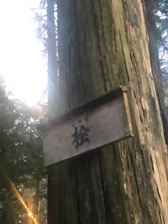都農神社の自然