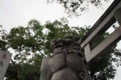 秩父神社の狛犬