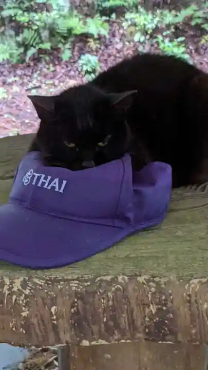 玉野御嶽神社の動物