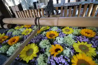 高円寺氷川神社の手水舎