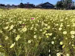 川圦神社(埼玉県)